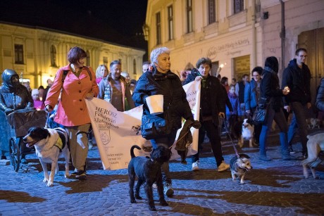 Belvárosi felvonulás az állatok világnapján szerdán este Székesfehérváron